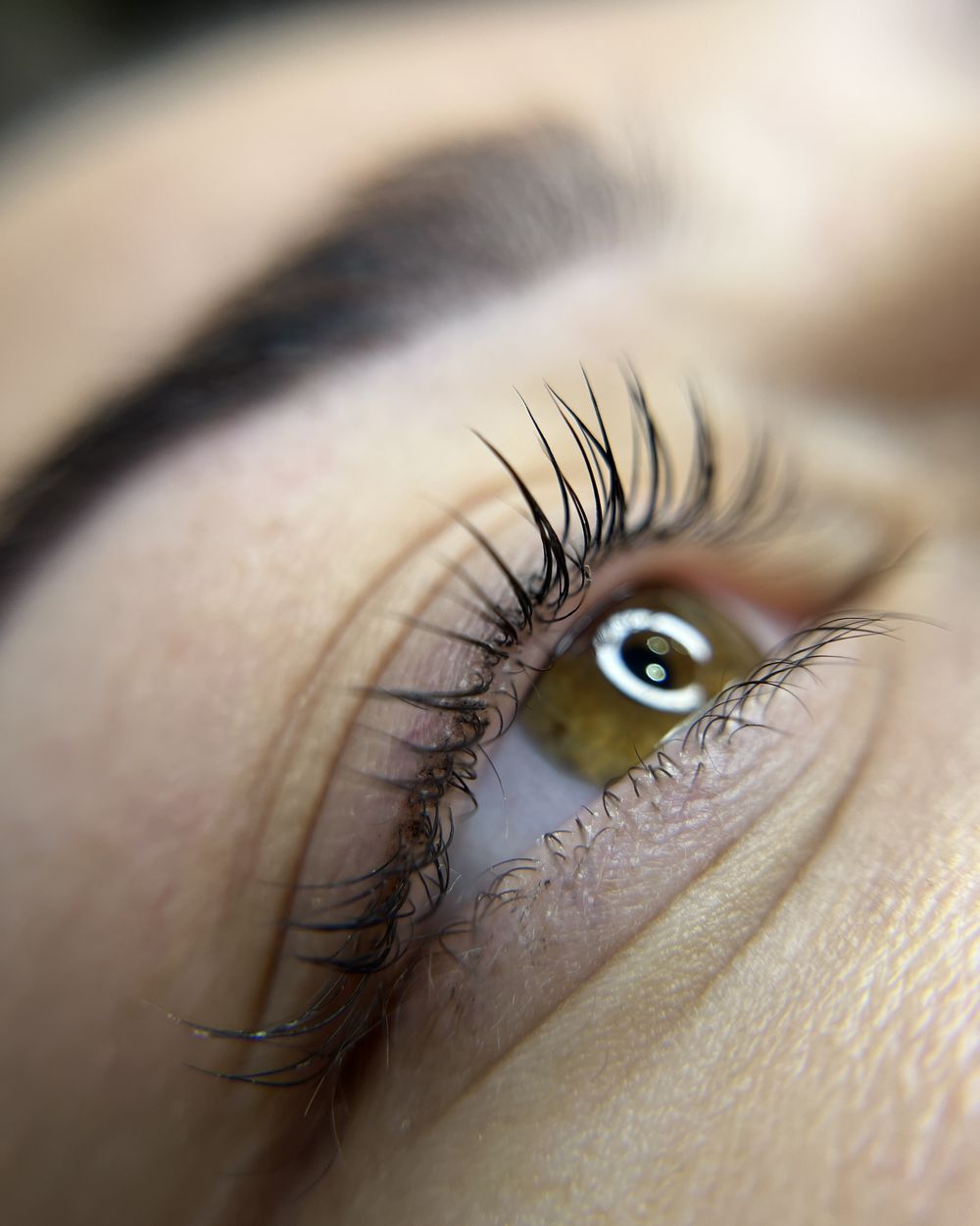 Close-up of lifted lashes
